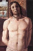 BRAMANTE Christ at the Column  gfd Spain oil painting reproduction