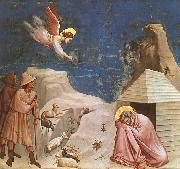 Giotto Scenes from the Life of Joachim  4 Spain oil painting reproduction