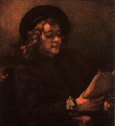 Rembrandt Portrait of Titus Sweden oil painting reproduction