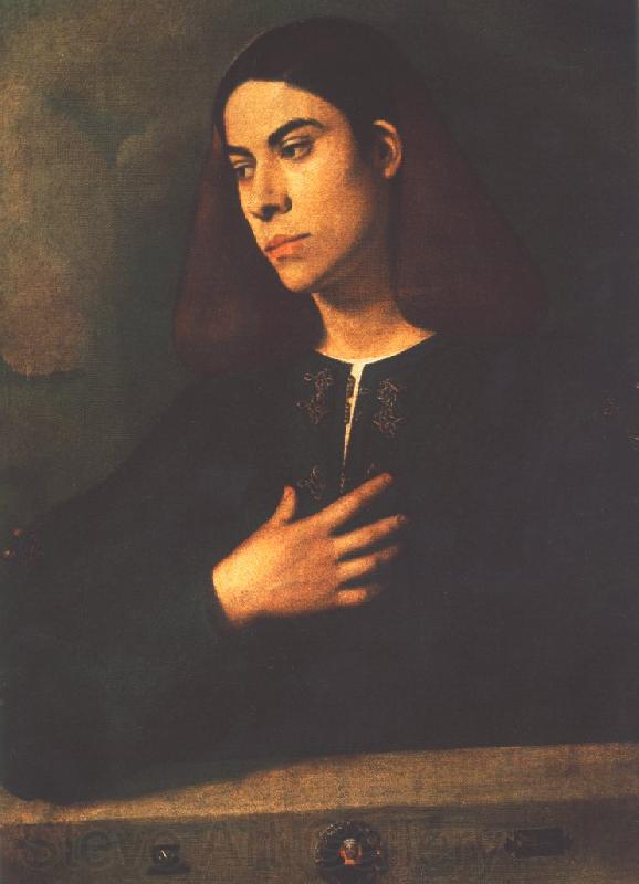 Giorgione Portrait of a Youth (Antonio Broccardo) dsdg Spain oil painting art
