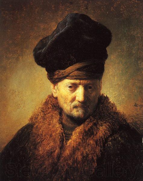 Rembrandt Bust of an Old Man in a Fur Cap Norge oil painting art