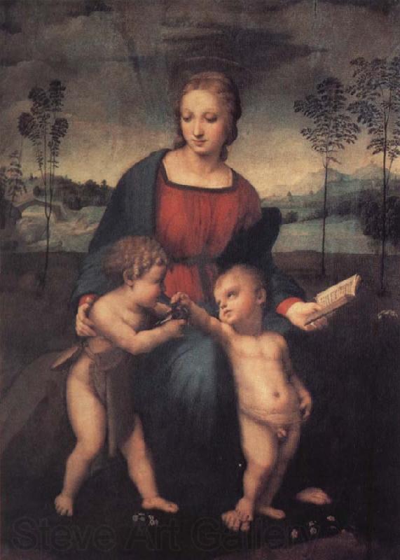 Raphael The Madonna of the Goldfinch Spain oil painting art