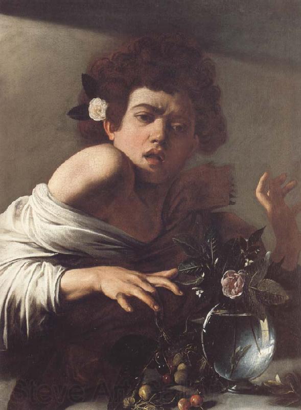 Caravaggio Boy Bitten by a Lizard Norge oil painting art