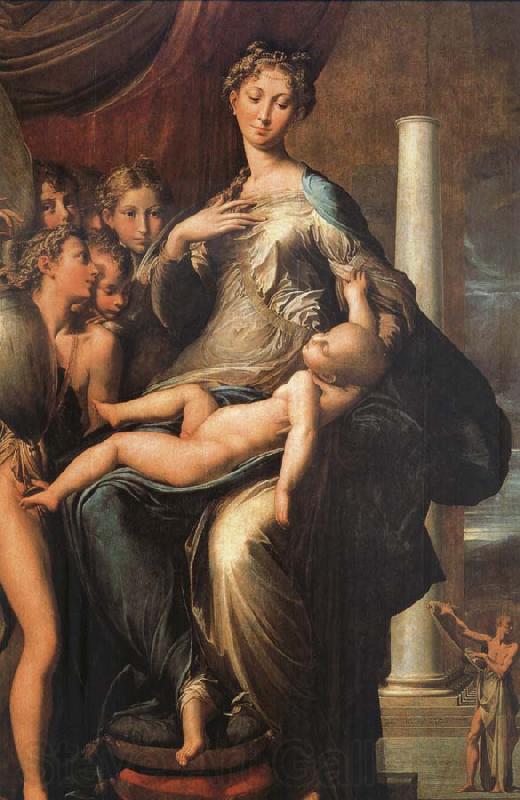 PARMIGIANINO The Madonna of the long neck Norge oil painting art