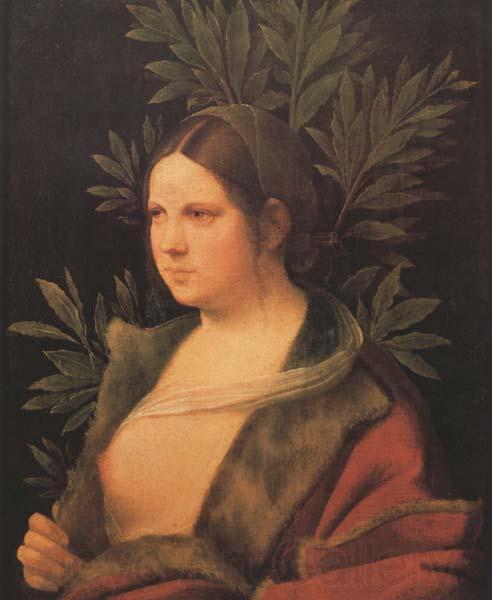 Giorgione Laura (MK45) France oil painting art