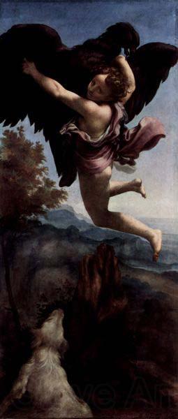 Correggio Ganymede Abducted by the Eagle Norge oil painting art
