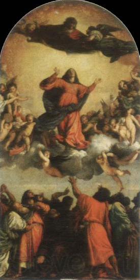 Titian assumption of the virgin Spain oil painting art
