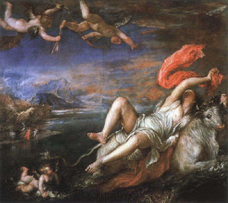 Titian the rape of europa Spain oil painting art