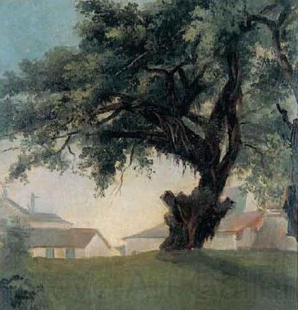 Anonymous Giant tree and barracks Germany oil painting art