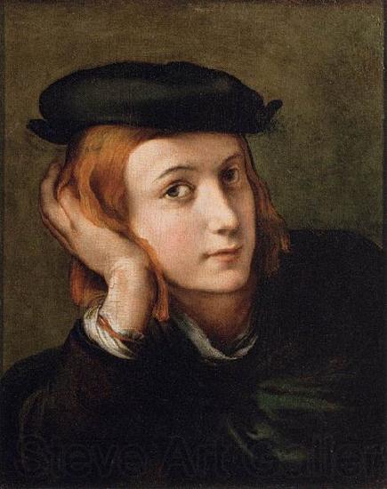 PARMIGIANINO Portrait of a Youth Spain oil painting art