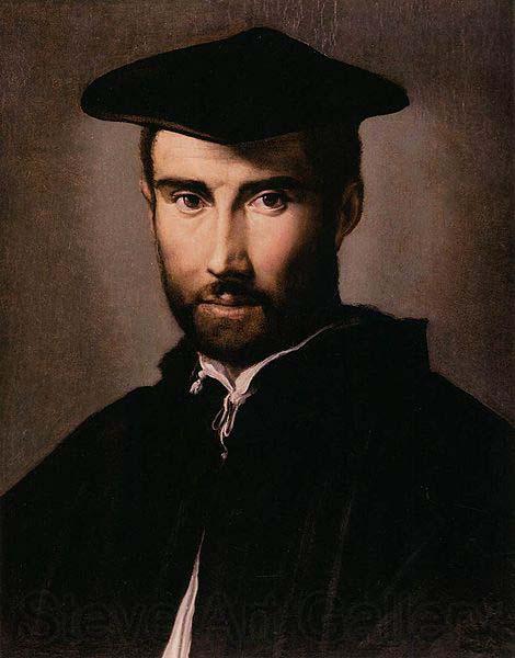 PARMIGIANINO Portrait of a Man Germany oil painting art