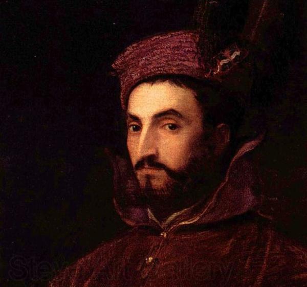 Titian Portrat des Ippolito de Medici Germany oil painting art