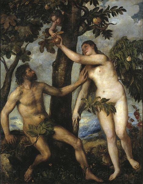 Titian Sundenfall Germany oil painting art