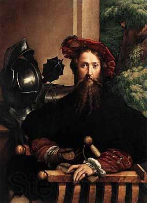 PARMIGIANINO Portrait of Galeazzo Sanvitale Norge oil painting art