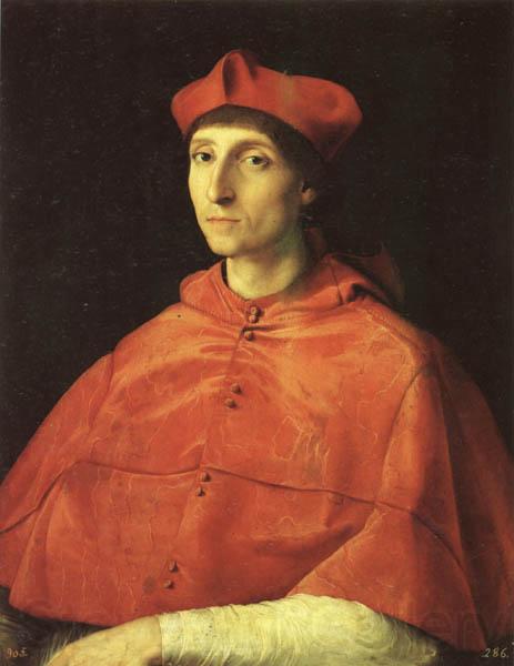 Raphael Portrait of a Cardinal Norge oil painting art