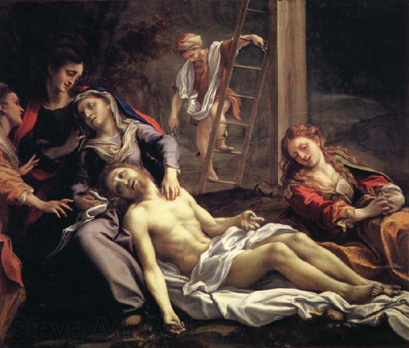 Correggio Deposition Spain oil painting art