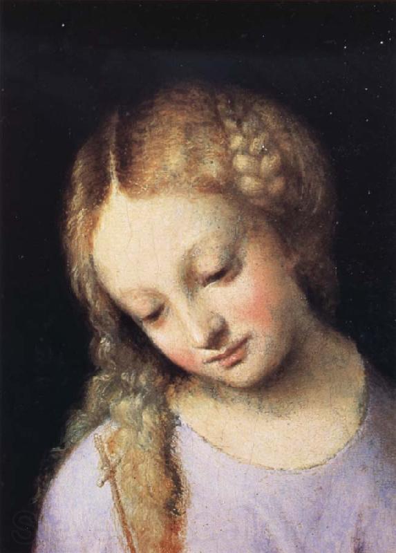 Correggio Details of Madonna and Child with the Young Saint John Spain oil painting art