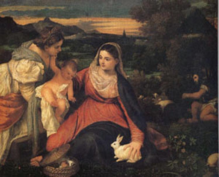 Titian The Virgin with the Rabit (mk05) Spain oil painting art