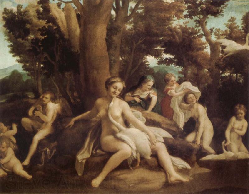 Correggio Leda and the Swan France oil painting art