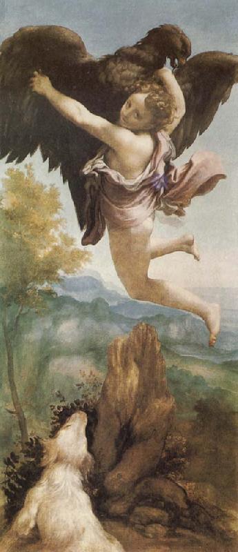 Correggio The Abduction of Ganymede Spain oil painting art