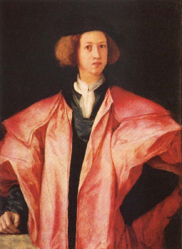 Pontormo Portrait of a young Man Spain oil painting art